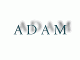 Nombre animado Adam 07