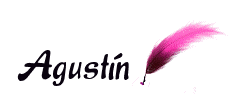 Nombre animado Agustin 18