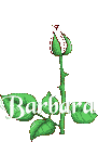 Nombre animado Barbara 05