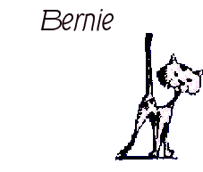 Nombre animado Bernie 02