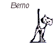 Nombre animado Berno 01