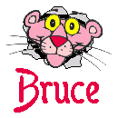 Nombre animado Bruce 02