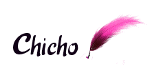 Nombre animado Chicho 06