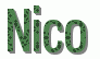 Nombre animado Nico 01
