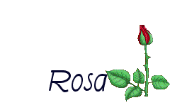 Nombre animado Rosa 17