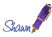 Nombre animado Shawn 04