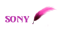 Nombre animado Sony 12
