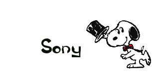 Nombre animado Sony 16