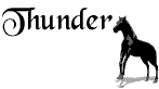 Nombre animado Thunder 01