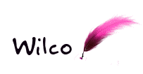Nombre animado Wilco 07