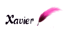 Nombre animado Xavier 06